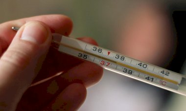 Health Alert In Uttar Pradesh : मैनपुरी में फैला है बुखार का प्रकोप, वाराणसी में बढ़ गई चौकसी